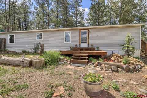 95 Roxanna's Court, Pagosa Springs, CO 81147