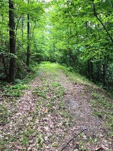 Lot 46 Lake Adger Parkway, Mill Spring, NC 28756