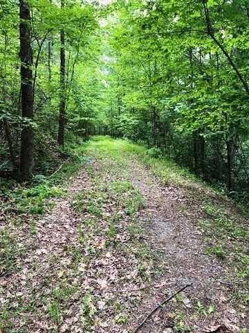 Lake Adger Parkway lot: 46, Mill Spring, NC 28756