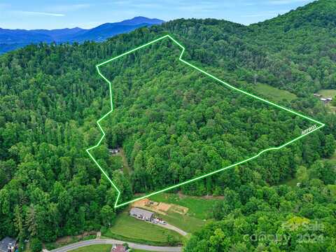 85 Sooie Branch Road, Green Mountain, NC 28740