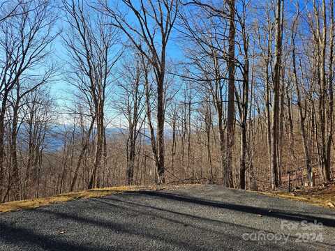 99999 Ramp Patch Trail, Burnsville, NC 28714