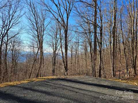 99999 Ramp Patch Trail, Burnsville, NC 28714