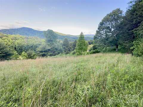 Lot #21 Dream Valley Drive, Clyde, NC 28721
