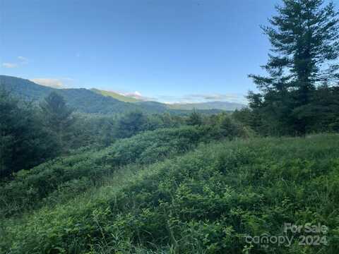 Dream Valley Drive lot: 22, Clyde, NC 28721