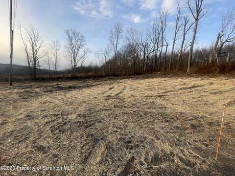 Airport Road, Clifford Twp, PA 18421