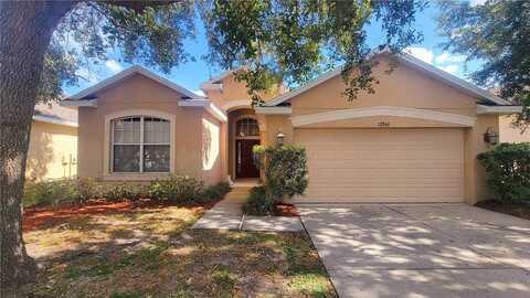 Hampton Hill, RIVERVIEW, FL 33578