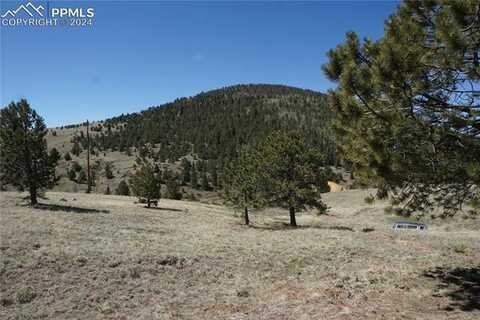 Vacant Land, Victor, CO 80860