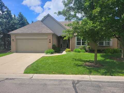 43115 COVE Drive, Clinton Township, MI 48038