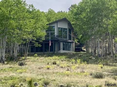 176 Tyndall Road, Westcliffe, CO 81252