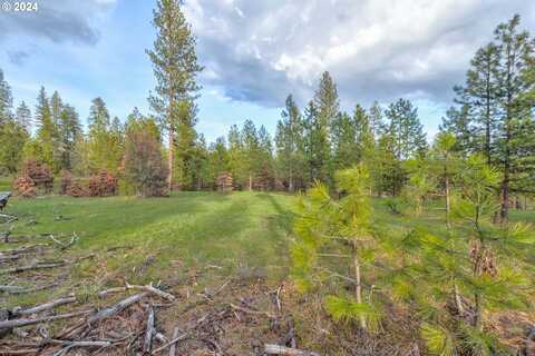 5 Greyback Mt RD, Goldendale, WA 98620