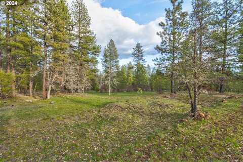 3 Greyback Mt RD, Goldendale, WA 98620