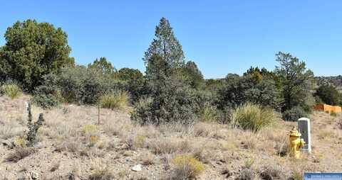 Lot 11 Hereford Drive, Silver City, NM 88061
