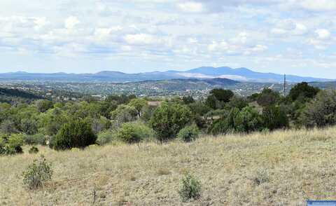 Wendy Road, Silver City, NM 88061