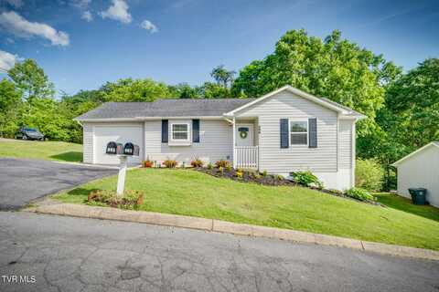 206 Copper Hill Drive, Johnson City, TN 37601