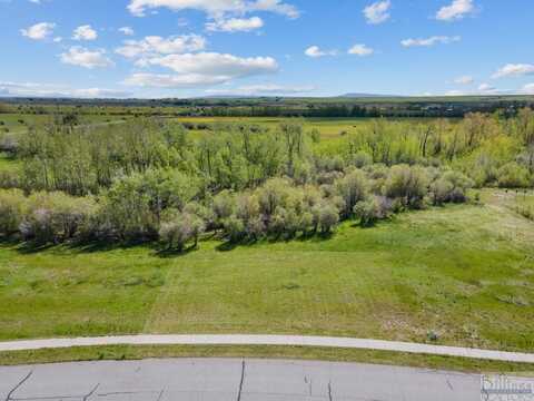Lot 7 Baneberry, Red Lodge, MT 59068