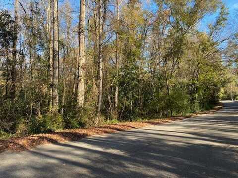 1468 Ireland Hills Drive, Walterboro, SC 29488