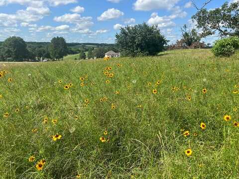 Lot 231 Wildlife Way, Athens, TX 75752