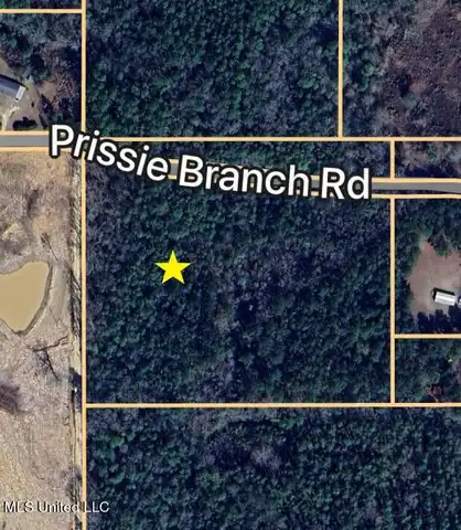 Nhn Prissie Branch Road, Perkinston, MS 39573