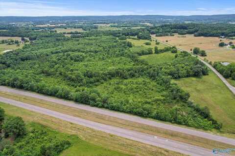 45.57 Acres Holladay Road, Danville, AL 35619