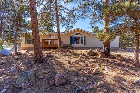 662 12th Trail, Cotopaxi, CO 81223
