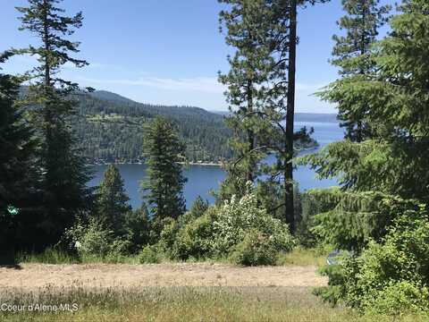 Nna Hanson Rd, Harrison, ID 83833