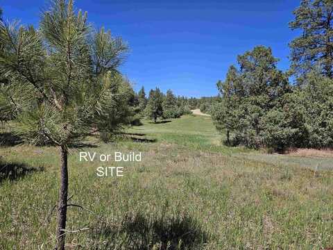 988 Crooked Road, Pagosa Springs, CO 81147