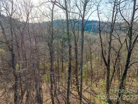 Lot 395 Roaring Fork Lane, Hendersonville, NC 28739