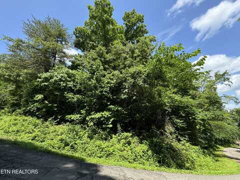 254 Scenic Hill Lane, Lenoir City, TN 37771