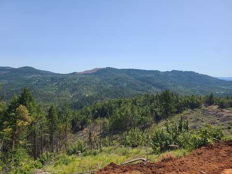 0 East Evans Creek Rd, Rogue River, OR 97537