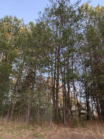 Lot 29 Jeramiah Run, Lynch Station, VA 24571