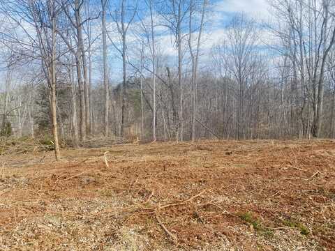 Lot 3 Horseshoe Bend RD, Goodview, VA 24095