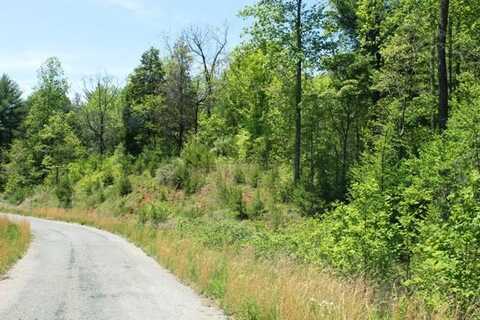 TRACT 9 MINT LN, Callaway, VA 24067