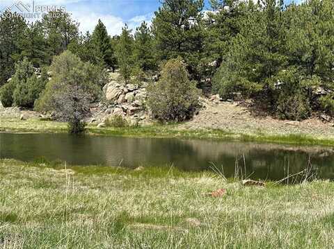 2332 County Road, Florissant, CO 80816