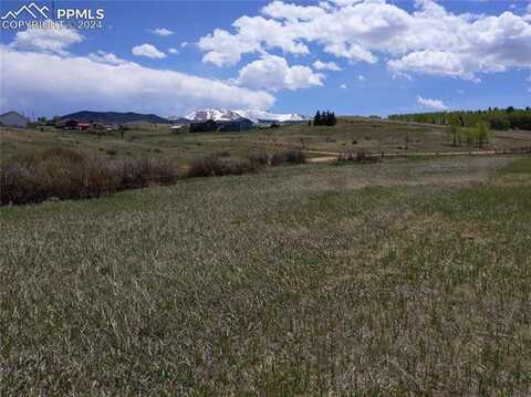 Herald Lane, Divide, CO 80814