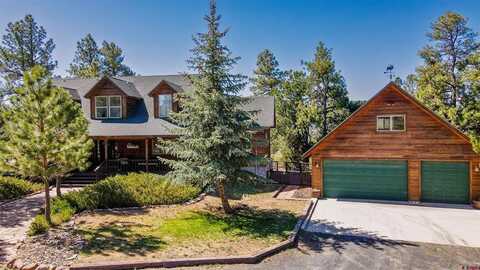 393 Crestone Place, Pagosa Springs, CO 81147