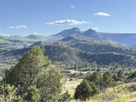 4625 Road 31 Lot 20, Dolores, CO 81323