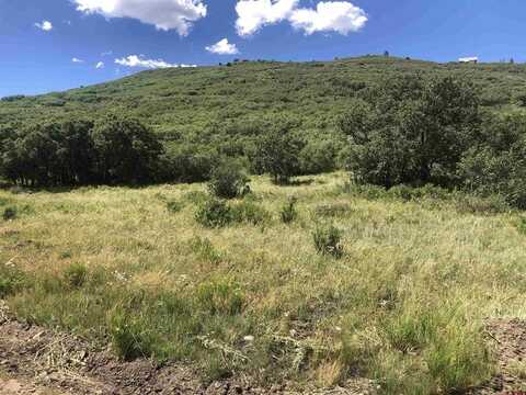 Lot 61 Glades Ranch Phase 3/Road H.4, Dolores, CO 81323