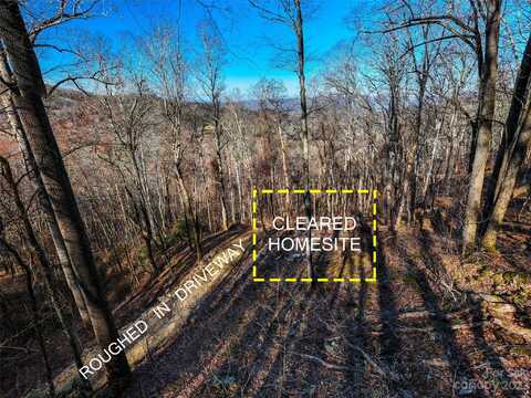 58 Flora Rose Trail, Asheville, NC 28803