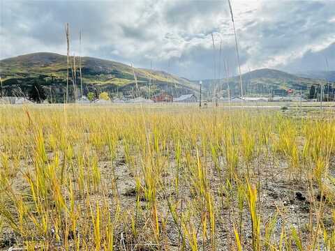 Lot 15 Anode, Anaconda, MT 59711