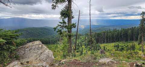 Tbd Monroe Creek Road, Elk City, ID 83525