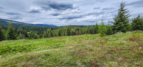 Tbd Tree Farm Trail 80 Acres, Elk City, ID 83525