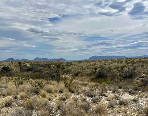 TR:G 631 McIntyre, Terlingua, TX 79852