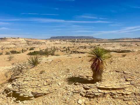 TR:F297 Taurus Mesa Rd, Terlingua, TX 79852