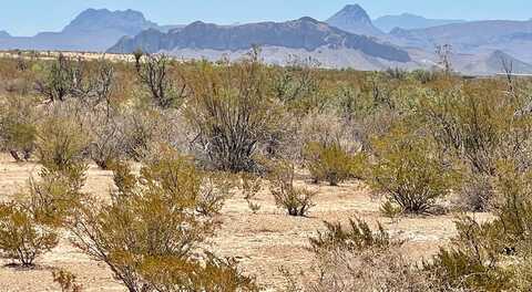 G563 Dean St, Terlingua, TX 79852