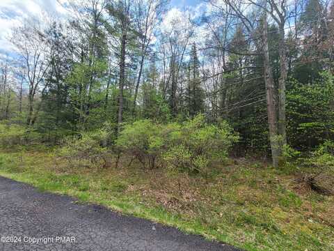 Lot 12 N Estates Drive, Pocono Summit, PA 18346