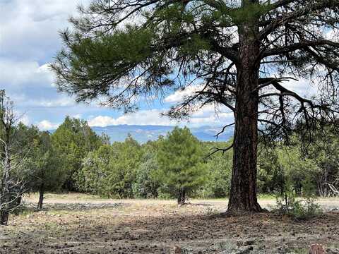 0 Lot 56A Parkview Hills, Los Ojos, NM 87551