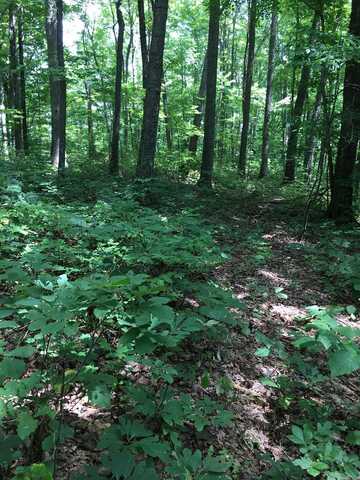 Lot 91 Parkstown Rd, WILDER, TN 38589