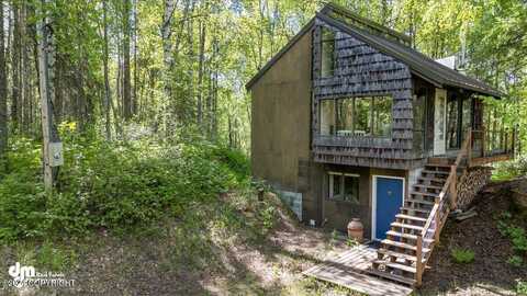 15248 S Fiddlehead Fern Circle, Talkeetna, AK 99676