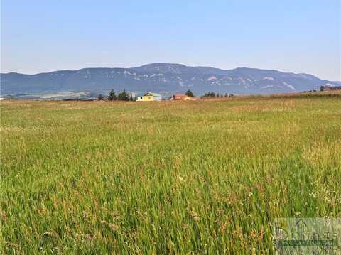 Lot 25 W Palisade Basin, Red Lodge, MT 59068