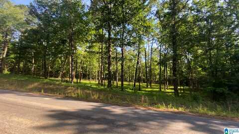 SAGEBRUSH ROAD, ASHVILLE, AL 35953